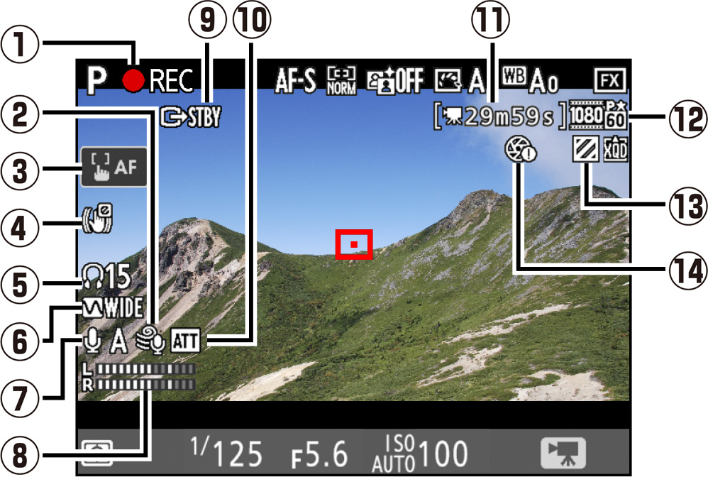 D850 TIPS - The Live View Display | Technical Solutions | Nikon ...