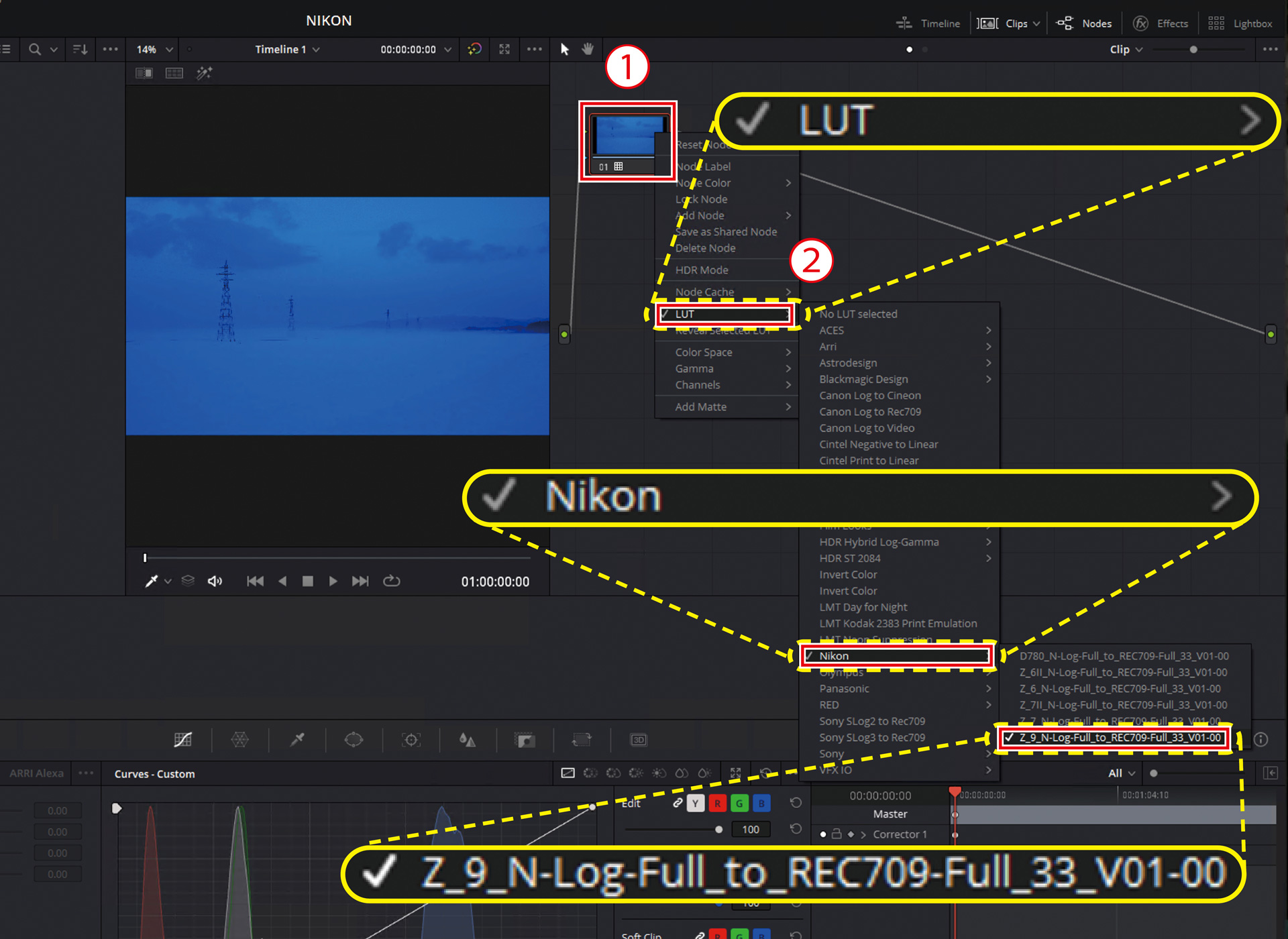 Z 9 TIPS - DaVinci Resolve: Editing procedure for N-RAW | Technical ...