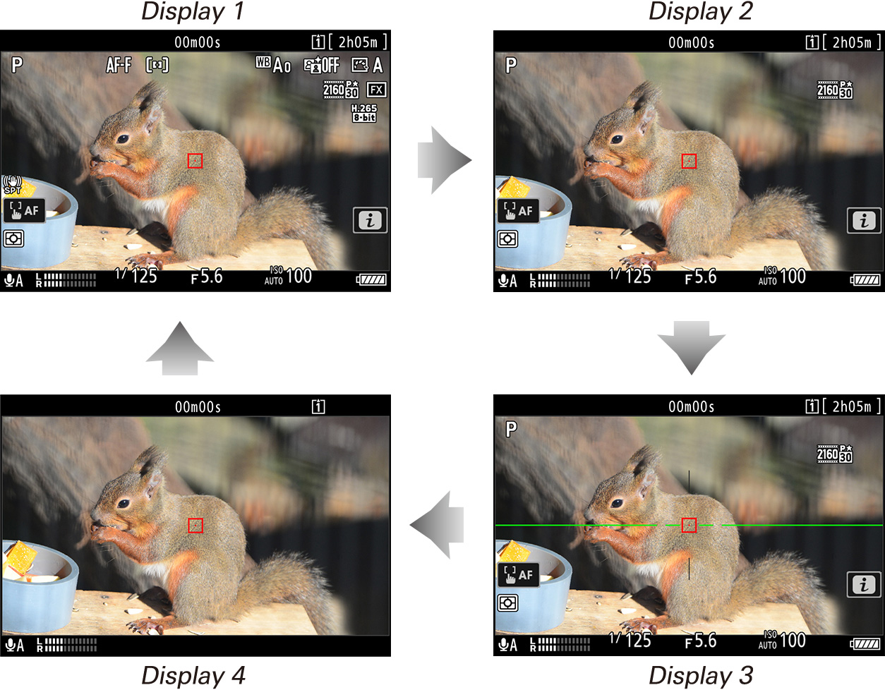 Z 9 TIPS - The Video Recording Display | Technical Solutions | Nikon ...