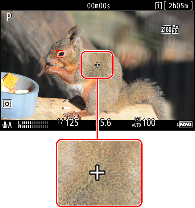 Z 9 TIPS - The Video Recording Display | Technical Solutions | Nikon ...